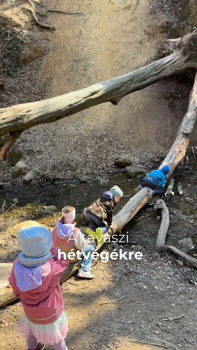 KIRÁNDULÓS SPOT GYEREKEKKEL🎒🪵🐿️